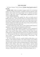 Įmonės analizė: draudimo paslaugos AB "Lietuvos draudimas" 3 puslapis