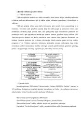Įmonės analizė: naktinis klubas 3 puslapis