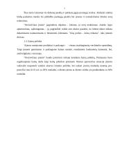 Įmonės analizė: naktinis klubas 4 puslapis