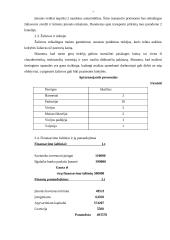 Įmonės analizė: naktinis klubas 6 puslapis