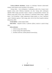 Įmonės atsargų auditas: teoriniai ir praktiniai aspektai 3 puslapis