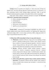 Įmonės atsargų auditas: teoriniai ir praktiniai aspektai 4 puslapis