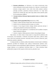 Įmonės atsargų auditas: teoriniai ir praktiniai aspektai 5 puslapis