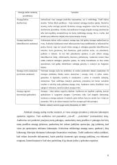 Įmonės atsargų auditas: teoriniai ir praktiniai aspektai 6 puslapis