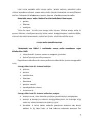 Įmonės atsargų auditas: teoriniai ir praktiniai aspektai 8 puslapis