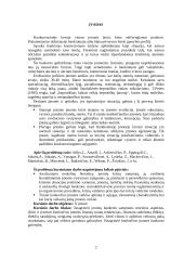 Įmonės bankroto galimybių studija 2 puslapis