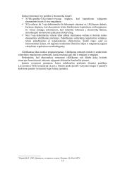 Įmonės bankroto galimybių studija 11 puslapis