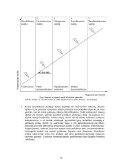 Įmonės bankroto galimybių studija 12 puslapis