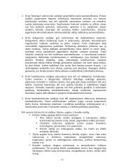 Įmonės bankroto galimybių studija 13 puslapis