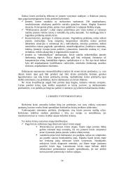 Įmonės bankroto galimybių studija 14 puslapis