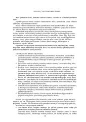 Įmonės bankroto galimybių studija 16 puslapis