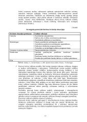 Įmonės bankroto galimybių studija 17 puslapis