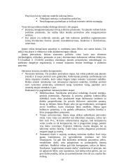 Įmonės bankroto galimybių studija 18 puslapis