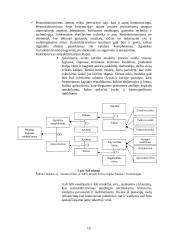 Įmonės bankroto galimybių studija 19 puslapis