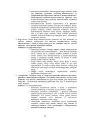 Įmonės bankroto galimybių studija 20 puslapis