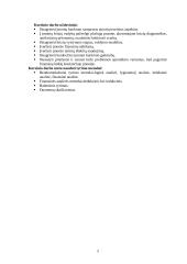 Įmonės bankroto galimybių studija 3 puslapis