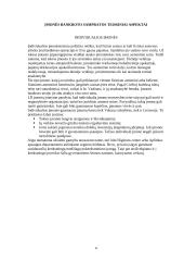 Įmonės bankroto galimybių studija 4 puslapis