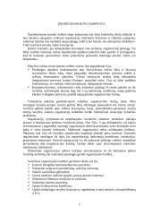 Įmonės bankroto galimybių studija 5 puslapis