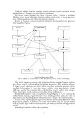 Įmonės bankroto galimybių studija 7 puslapis