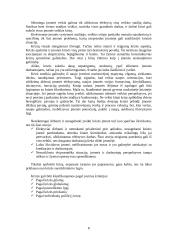 Įmonės bankroto galimybių studija 8 puslapis