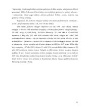 Įmonės ekonominė analizė: AB "Lietuvos energija" 11 puslapis