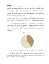 Įmonės ekonominė analizė: AB "Lietuvos energija" 13 puslapis