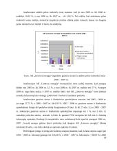 Įmonės ekonominė analizė: AB "Lietuvos energija" 19 puslapis