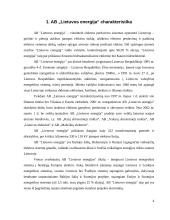Įmonės ekonominė analizė: AB "Lietuvos energija" 4 puslapis