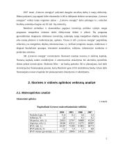 Įmonės ekonominė analizė: AB "Lietuvos energija" 5 puslapis