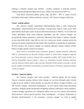 Įmonės ekonominė analizė: AB "Lietuvos energija" 9 puslapis