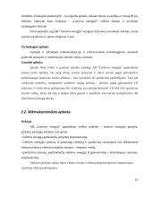 Įmonės ekonominė analizė: AB "Lietuvos energija" 10 puslapis