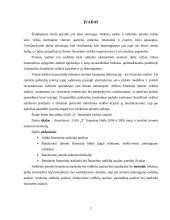 Įmonės finansinė analizė 2 puslapis