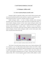 Įmonės finansinė analizė 12 puslapis