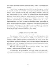 Įmonės finansinė analizė 13 puslapis