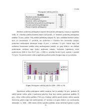 Įmonės finansinė analizė 15 puslapis