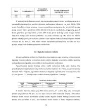 Įmonės finansinė analizė 20 puslapis