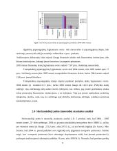 Įmonės finansinė analizė 9 puslapis