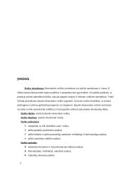 AB "Rokiškio sūris" finansinė analizė 2 puslapis