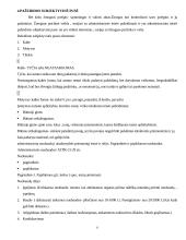 Administracinės teisės samprata, principai, bruožai 6 puslapis