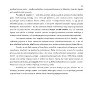 Atmintis ir informacijos apdorojimas 11 puslapis