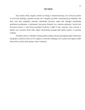 Atmintis ir informacijos apdorojimas 12 puslapis