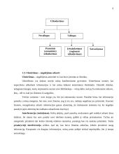Atmintis ir informacijos apdorojimas 8 puslapis