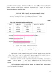 Įmonės finansinė analizė: UAB "Iris" 12 puslapis