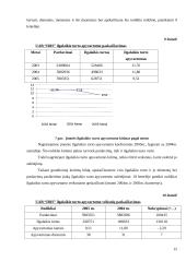 Įmonės finansinė analizė: UAB "Iris" 14 puslapis