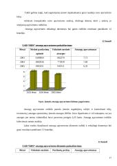 Įmonės finansinė analizė: UAB "Iris" 16 puslapis