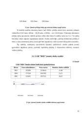 Įmonės finansinė analizė: UAB "Iris" 18 puslapis