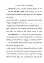 Įmonės finansinė analizė: UAB "Iris" 4 puslapis