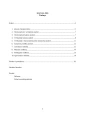 Įmonės finansinių ataskaitų analizė: UAB "Mineraliniai vandenys" 2 puslapis