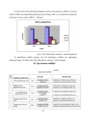 Įmonės finansinių ataskaitų analizė: UAB "Mineraliniai vandenys" 15 puslapis