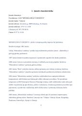 Įmonės finansinių ataskaitų analizė: UAB "Mineraliniai vandenys" 4 puslapis